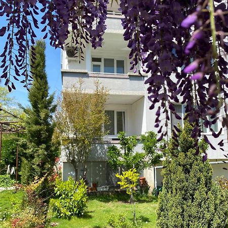 Family Hotel "May" بيتريتش المظهر الخارجي الصورة
