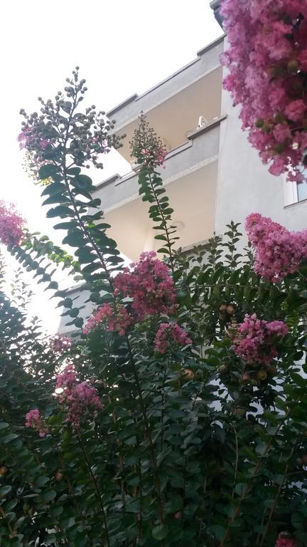 Family Hotel "May" بيتريتش الغرفة الصورة